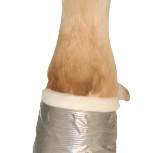 Klauenband, silber Angebot